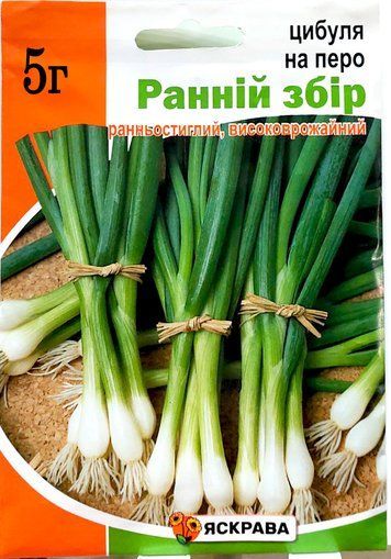 Цибуля на Зелень Ранній збір 5г 1795633135 фото