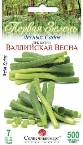 Цибуля Батун Валлійська весна 500 насінин 1544021235 фото