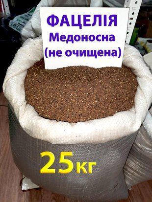 Насіння Фацелія (не очищене), медонос, сидерат, мішок 25 кг 1456452343 фото