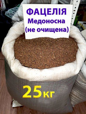 Насіння Фацелія (не очищене), медонос, сидерат, мішок 25 кг 1456452343 фото