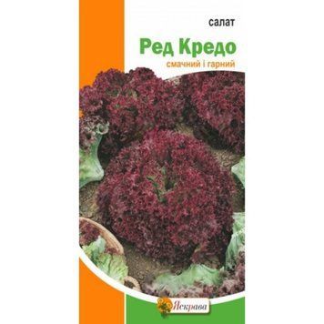 Насіння Салат Ред Кредо Яскрава 1 г 2072220855 фото