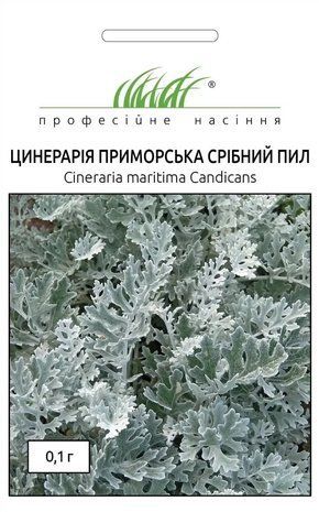 Цинерарія Срібний пил Професійне насіння 0,1 г 1526073486 фото