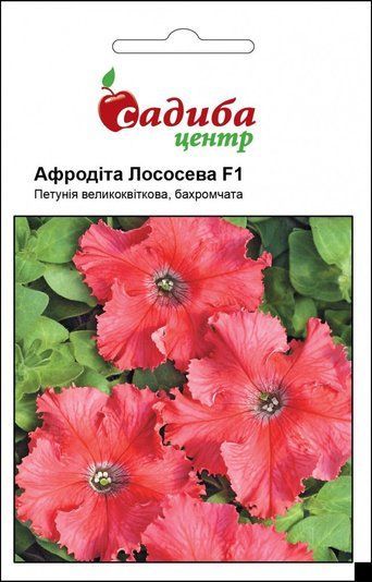 Семена Петуния лососевая Афродита F1, Садыба центр (Фасовка: 10 гранул) 1713843307 фото