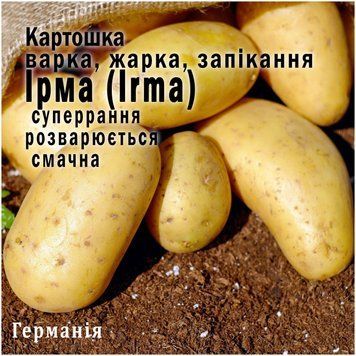 Німеччина. Картопля насінню сорт Ірма (36 дніввка) суперранна, варіння, смаження, запікання, 1 кг 1389587269 фото