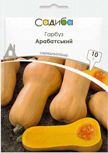 Гарбуз Арабатський (на кашу) Садиба центр 10 г 1270494683 фото