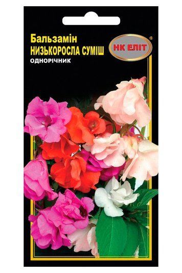 БАЛЬЗАМІН