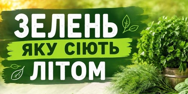 Головна Баннер 3-й (640*320) -2 (Зелень літня)
