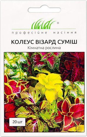 Колеус Візард суміш Pan American/США 20 шт 1287033652 фото
