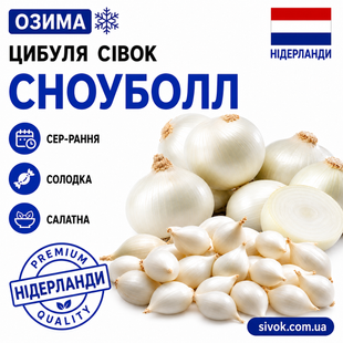 Цибуля-сівок озима Сноубол (Snowball) TOP Onions / Нідерланди 1 кг 768462599 фото