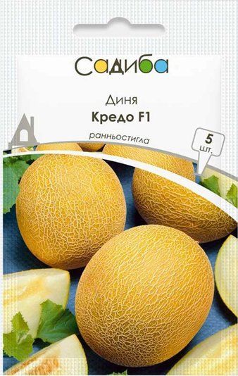 Диня Кредо F1 Садиба центр 5 шт 1347656082 фото