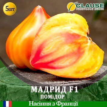 Помідор Мадрид F1 Clause 5 шт (zip-paket) 1322024906 фото