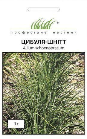 Насіння Лук Шнітт на зелень 1 г 1298422659 фото