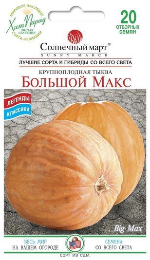 Гарбуз Великий Макс 20 шт. 1572670688 фото