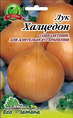 Насіння Цибуля Халцедон однорічний / 1 кг 681447860 фото