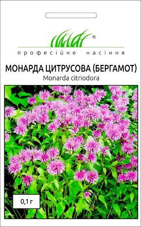 Монарда цитрусова (Бергамот) Hem Zaden/Нідерланди 0,1 г 1349611230 фото