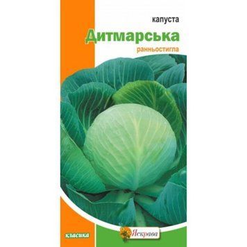 Насіння Капуста білокачанна Дитмарська Яскрава 0,5 г 2072678729 фото