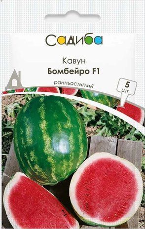 Арбуз Бомбейро F1 Hazera, Нидерланды 5 шт 681447712 фото