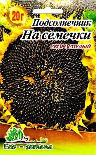 СОНЯШНИК