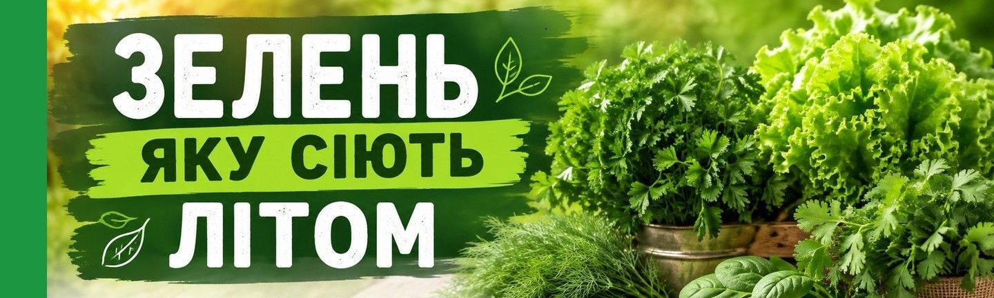 Баннер (Линия 2) Зелень літня