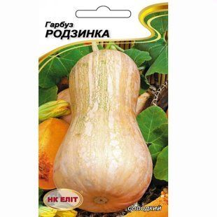 Тыква Родзинка мускатная НК Элит 10 г 2106926622 фото