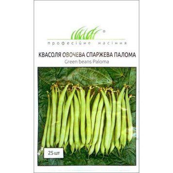КВАСОЛЯ