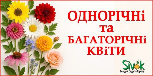 Головна Баннер 3-й (640*320)-3 (квіти)