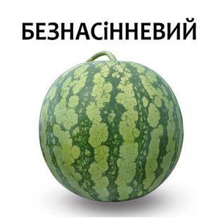 Арбуз Кидманн F1 (безсемянный) 5 шт (zip-paket) 723956274 фото