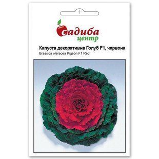 Садиба центр. Семена капусты декоративной Голуб F1 красная Satimex 10 шт 1655220348 фото