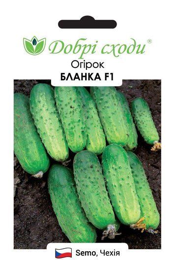 Добрі сходи. Насіння огірок Бланка F1, 20 се 1292439096 фото
