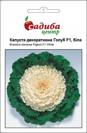 Семена капусты декоративной Голуб F1 белая Satimex 10 шт 1655227905 фото