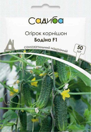 Огурец Бодина F1 (до морозов) Satimex/Германия 50 шт 346235 фото