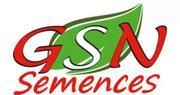 GSN-Semences, Франция