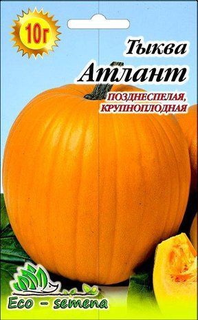 Семена Тыква Атлант 10 г 906621082 фото