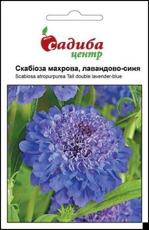 Скабіоза Махрова Лавандово-синя, Садиба центр 0,2 г. 1714109891 фото