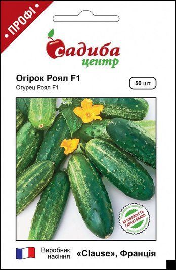 Огірок Роял F1 Clause, Франція 20 шт 1251306414 фото